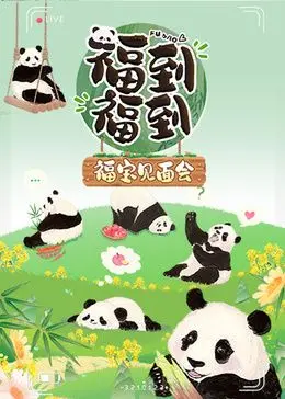 《福到福到福宝见面会》：萌翻全网！熊猫宝宝见面会背后的温情与感动
